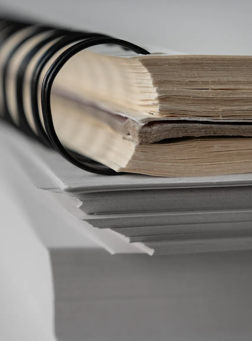 iuis-format-academy-2